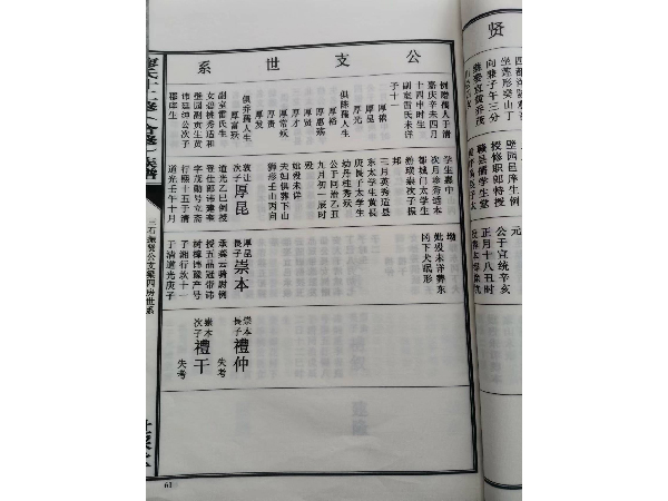 族谱书册
