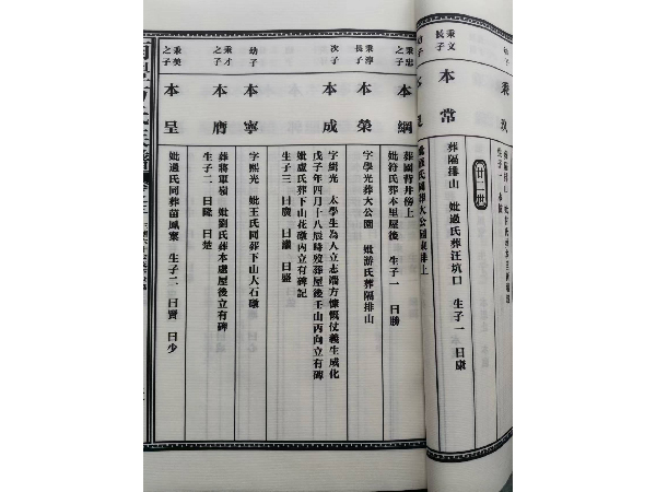 族谱书册