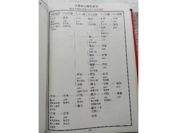 江西黎川傅氏通谱-内容
